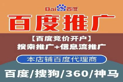搜索引擎优化（SEO）与竞价广告（SEM）的对比案例